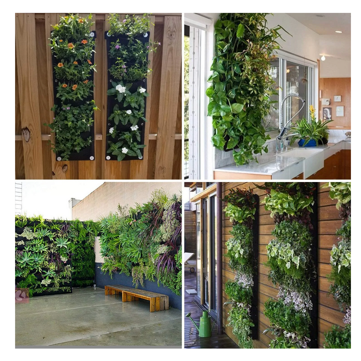 Diseño Vertical para Plantas